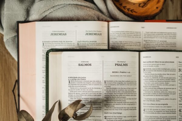 Bíblia Bilíngue, Português/Inglês, ACF/KJV, Couro Soft, Verde - Imagem 3